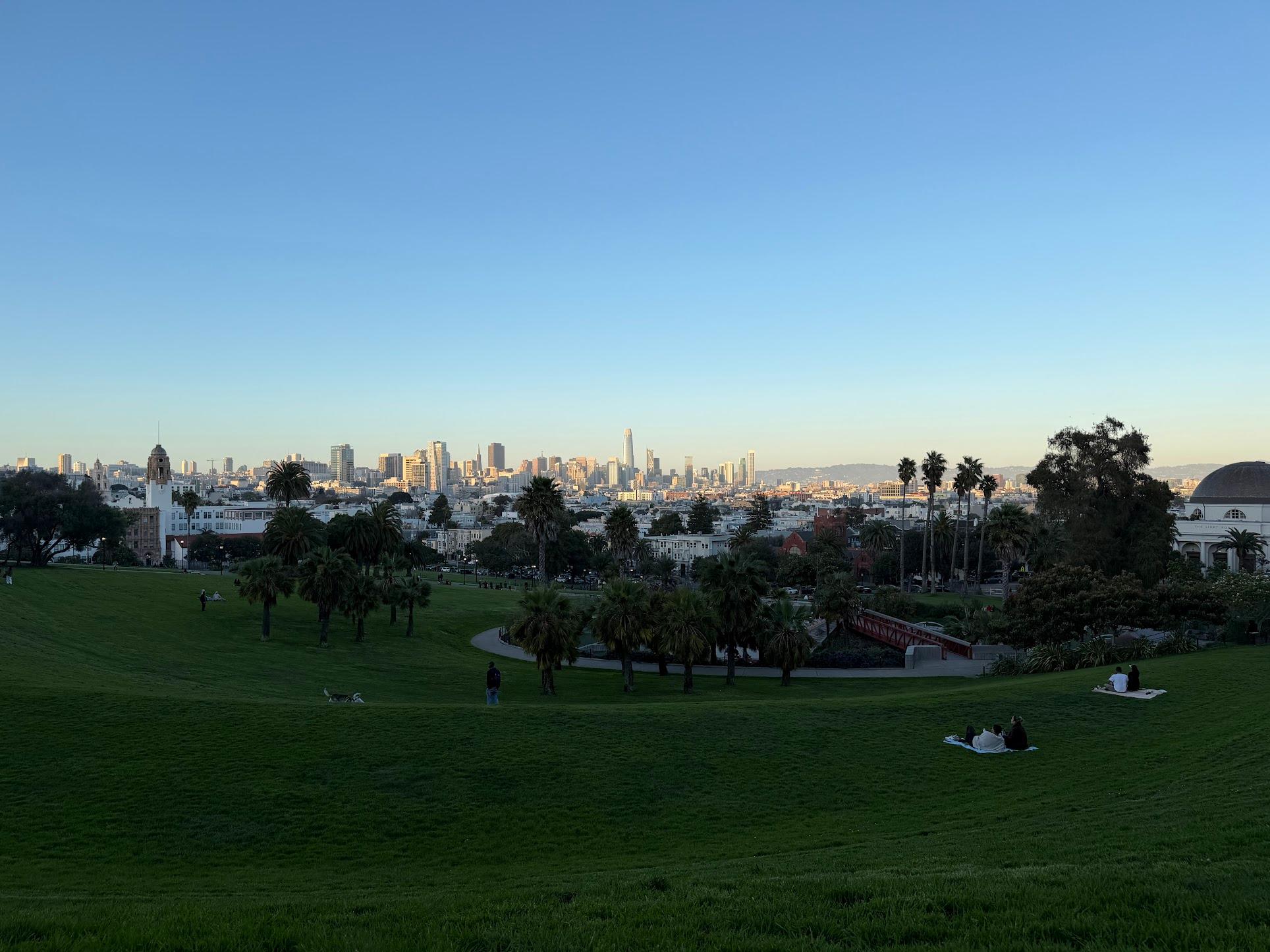 The view from a grassy hillside in Dolores Park: palm trees, people on blankets, and the San Francisco skyline in early evening light